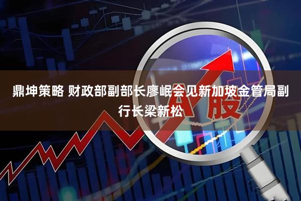 鼎坤策略 财政部副部长廖岷会见新加坡金管局副行长梁新松