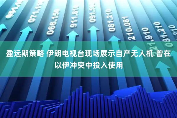 盈远期策略 伊朗电视台现场展示自产无人机 曾在以伊冲突中投入使用